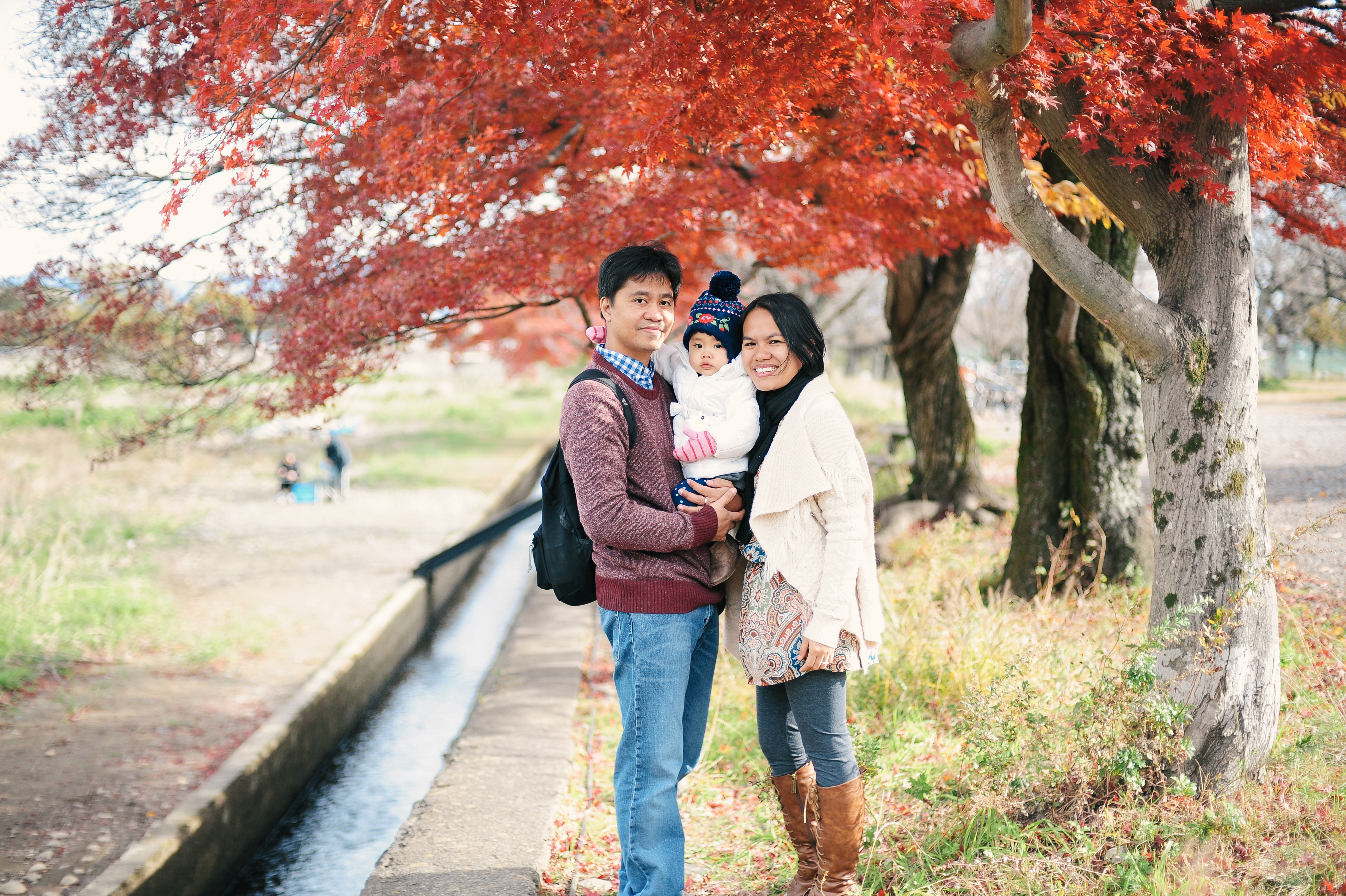 Autumn in Kyoto, Japan - Nov 2013